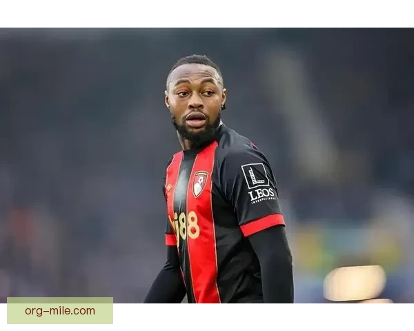 伯恩茅斯正式签下英格兰前锋亚当斯 助力球队进攻实力提升