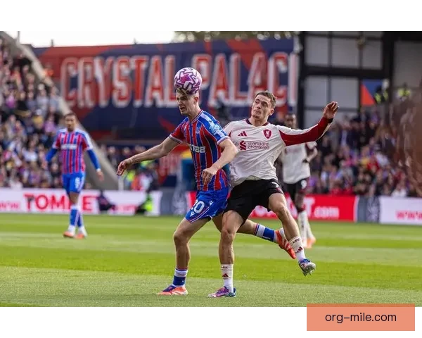 布拉德利英超主场对阵切尔西精彩传射引领球队获胜